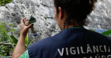 São Paulo tem mais de 58 mil casos de dengue desde o início do ano