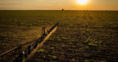 Seguro rural: novas regras ampliam cobertura e proteção ao produtor