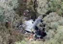 Bombeiros encontram helicóptero com corpo do cantor Rick