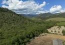 Agricultura avança 11 milhões de hectares em 41 anos na Mata Atlântica