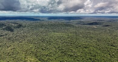 Fazenda autoriza crédito de US$ 1 bilhão do BID para Eco Invest Brasil