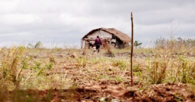 Cai número de assassinatos no campo, mas aumenta o de conflitos