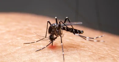 Mudanças climáticas já causam aumento de doenças infecciosas no país