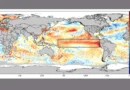 Painel indica que El Ninõ pode ser um dos mais intensos desde 1950