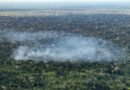 Estudo aponta atividade humana nas emissões de carbono na Amazônia
