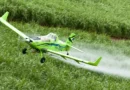 Brasil é 2º maior importador de pesticidas proibidos na UE, diz Oxfam