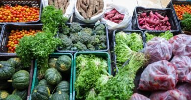 Segurança alimentar exige esforço coletivo e articulação