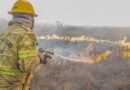 Governo investiga se há organização por trás dos incêndios no Amazonas