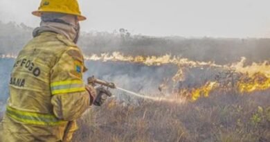 Governo investiga se há organização por trás dos incêndios no Amazonas